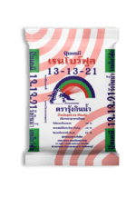 13-13-21 เรนโบว์ฟูล ตรารุ้งกินน้ำ - Image 2