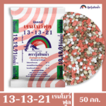 13-13-21 เรนโบว์ฟูล ตรารุ้งกินน้ำ - Image 3