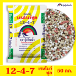 12-4-7 เรนโบว์ฟูล ตรารุ้งกินน้ำ - Image 3