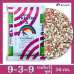 9-3-9 เรนโบว์ฟูล ตรารุ้งกินน้ำ - Image 3