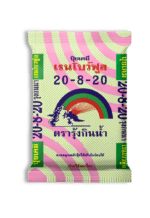 20-8-20 เรนโบว์ฟูล ตรารุ้งกินน้ำ