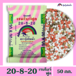 20-8-20 เรนโบว์ฟูล ตรารุ้งกินน้ำ - Image 3