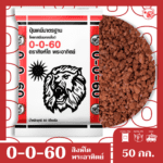 0-0-60 MOP ตราสิงห์โตพระอาทิตย์ - Image 2